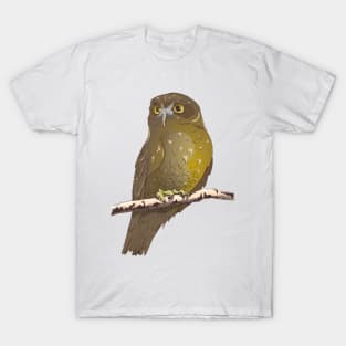 Ruru Morepork T-Shirt